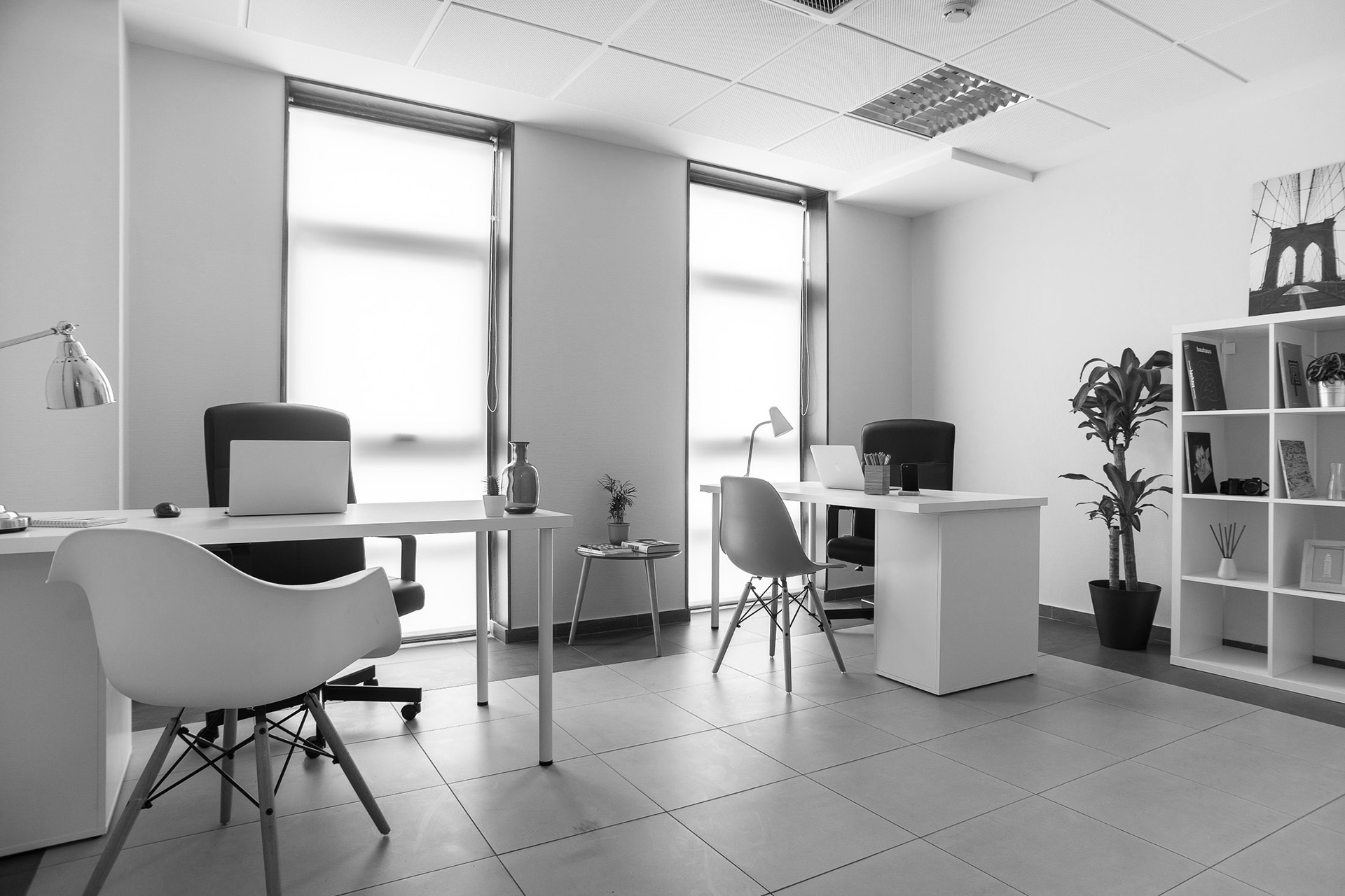 Oficina compartida de A Coruña con varios escritorios, estantería, plantas y dos ventanas verticales.